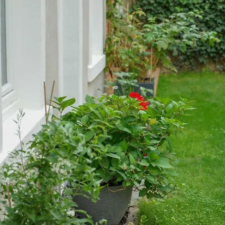 Numbersixteen Lägenhet