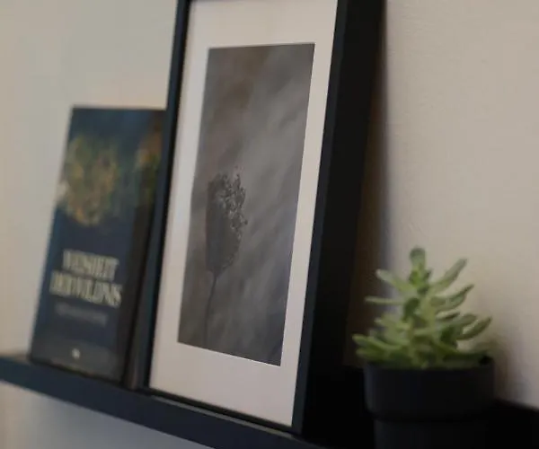 Apartment Numbersixteen Trier