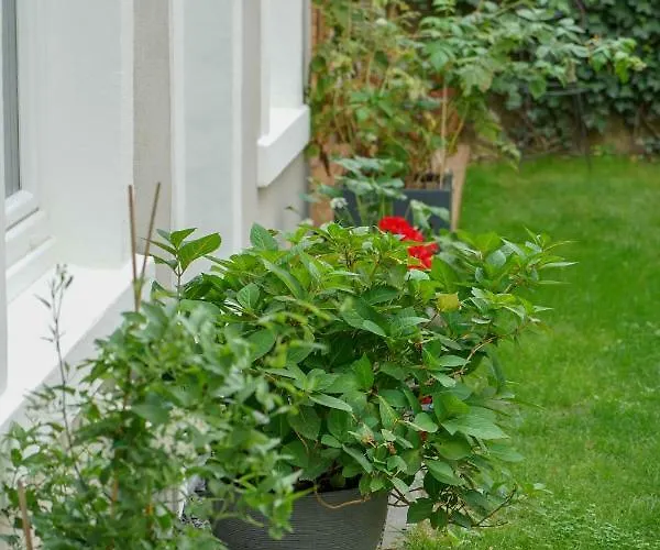 Numbersixteen Apartment